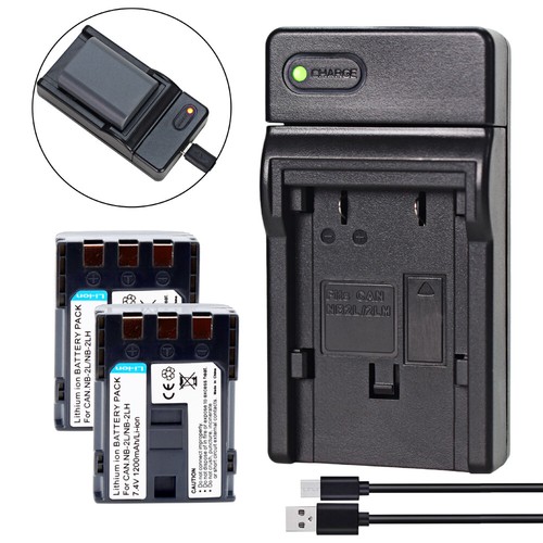 Batteria caricabatterie - 2x,
